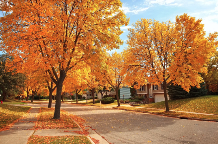 Canada’s Housing Market Enters a Period of Adjustment This Autumn