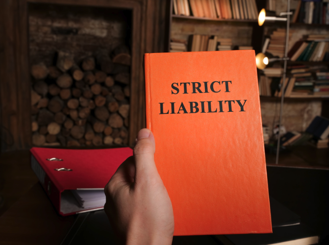 Buyer Liability in Failed Property Deals